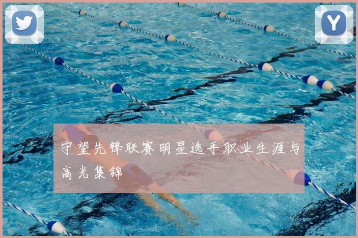 守望先锋联赛明星选手职业生涯与高光集锦
