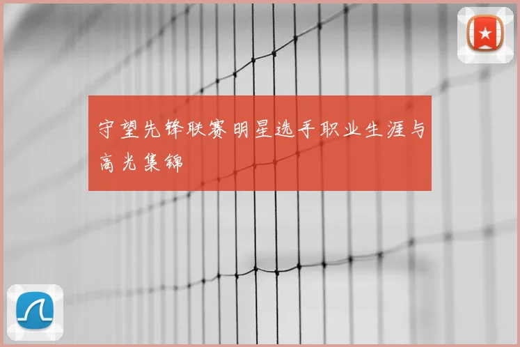 守望先锋联赛明星选手职业生涯与高光集锦